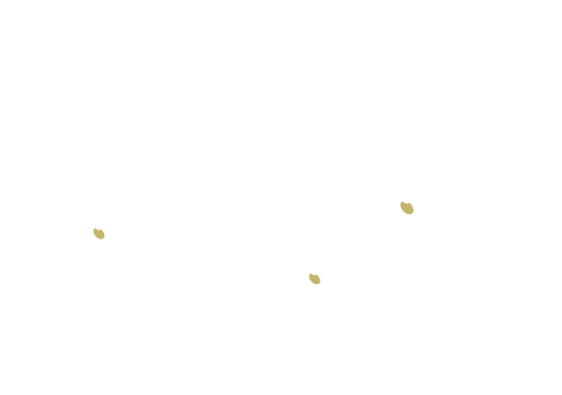 気軽に立ち寄れる食堂